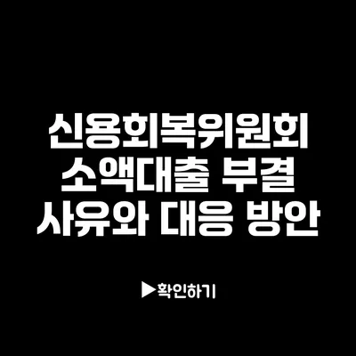 신용회복위원회 소액대출 부결 사유와 대응 방안