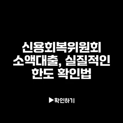 신용회복위원회 소액대출, 실질적인 한도 확인법
