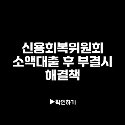 신용회복위원회 소액대출 후 부결시 해결책
