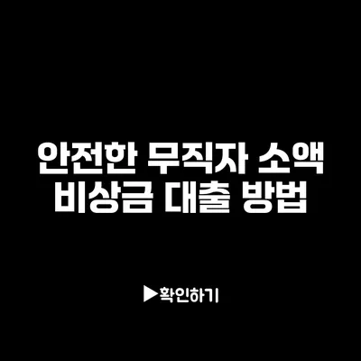 안전한 무직자 소액 비상금 대출 방법