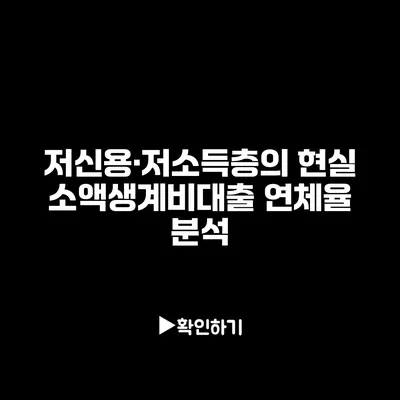 저신용·저소득층의 현실: 소액생계비대출 연체율 분석