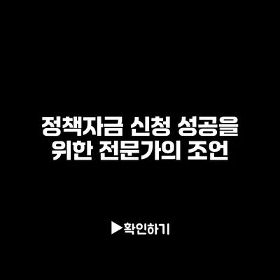 정책자금 신청 성공을 위한 전문가의 조언