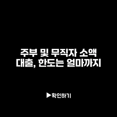 주부 및 무직자 소액 대출, 한도는 얼마까지?