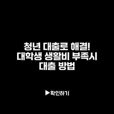 청년 대출로 해결! 대학생 생활비 부족시 대출 방법
