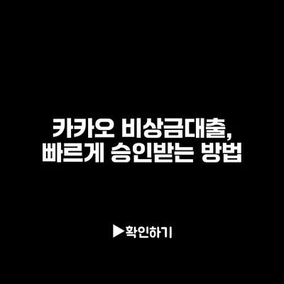 카카오 비상금대출, 빠르게 승인받는 방법