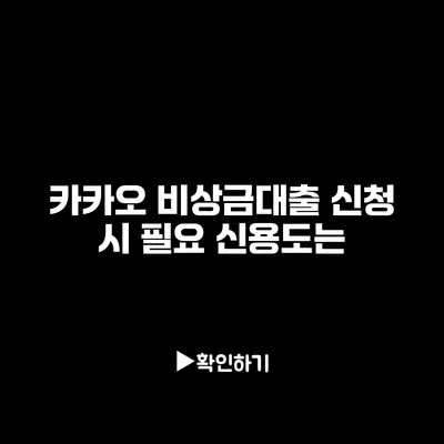 카카오 비상금대출 신청 시 필요 신용도는?