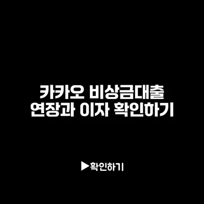 카카오 비상금대출 연장과 이자 확인하기