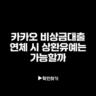 카카오 비상금대출 연체 시 상환유예는 가능할까?