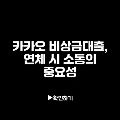 카카오 비상금대출, 연체 시 소통의 중요성