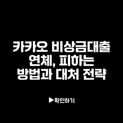 카카오 비상금대출 연체, 피하는 방법과 대처 전략