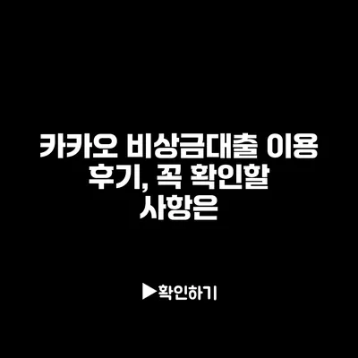 카카오 비상금대출 이용 후기, 꼭 확인할 사항은?