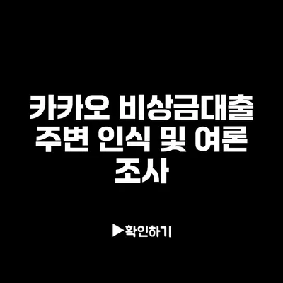 카카오 비상금대출 주변 인식 및 여론 조사