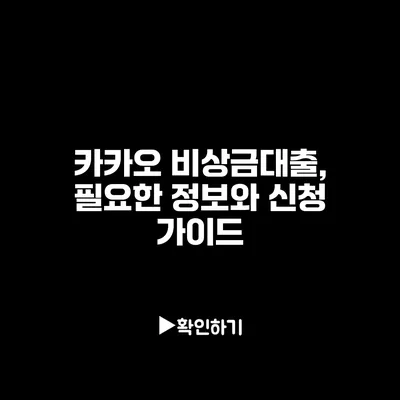 카카오 비상금대출, 필요한 정보와 신청 가이드