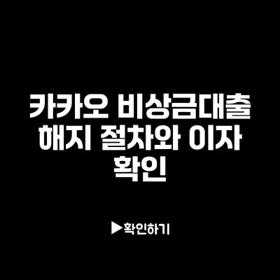 카카오 비상금대출 해지 절차와 이자 확인