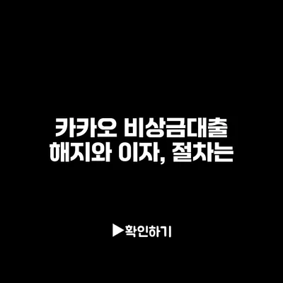 카카오 비상금대출 해지와 이자, 절차는?