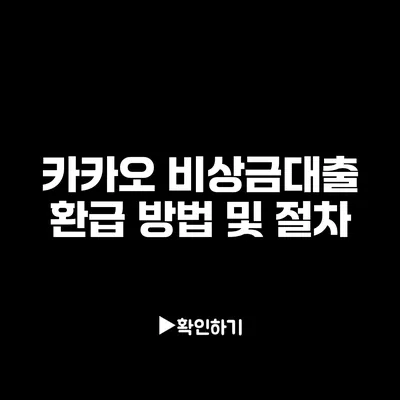 카카오 비상금대출 환급 방법 및 절차