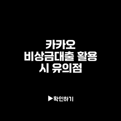 카카오 비상금대출 활용 시 유의점