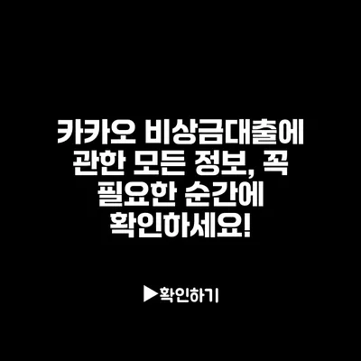 카카오 비상금대출에 관한 모든 정보, 꼭 필요한 순간에 확인하세요!