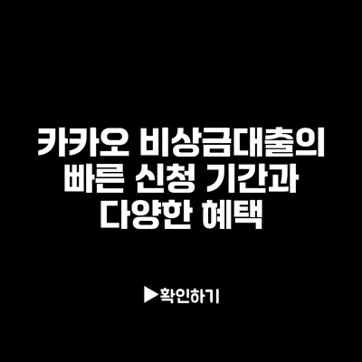 카카오 비상금대출의 빠른 신청 기간과 다양한 혜택