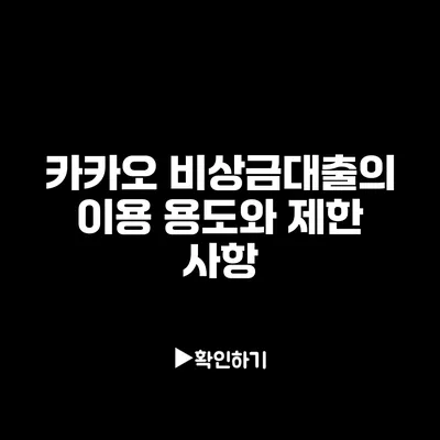 카카오 비상금대출의 이용 용도와 제한 사항