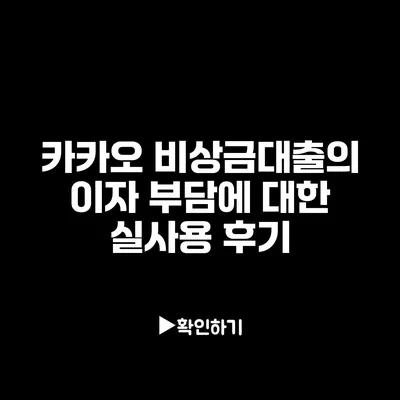 카카오 비상금대출의 이자 부담에 대한 실사용 후기