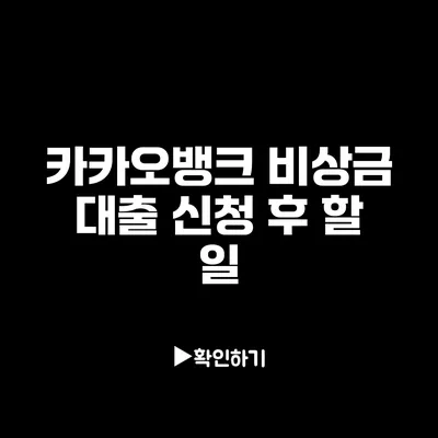 카카오뱅크 비상금 대출 신청 후 할 일