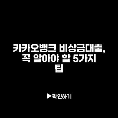 카카오뱅크 비상금대출, 꼭 알아야 할 5가지 팁