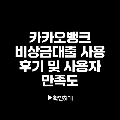 카카오뱅크 비상금대출 사용 후기 및 사용자 만족도 카카오뱅크 비상금대출 사용 후기 및 사용자 만족도