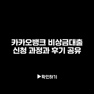 카카오뱅크 비상금대출 신청 과정과 후기 공유