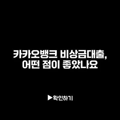 카카오뱅크 비상금대출, 어떤 점이 좋았나요?