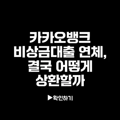 카카오뱅크 비상금대출 연체, 결국 어떻게 상환할까?