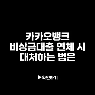 카카오뱅크 비상금대출 연체 시 대처하는 법은?