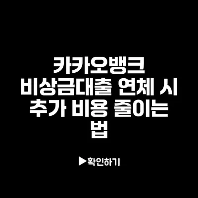 카카오뱅크 비상금대출 연체 시 추가 비용 줄이는 법