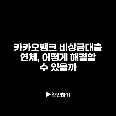 카카오뱅크 비상금대출 연체, 어떻게 해결할 수 있을까?