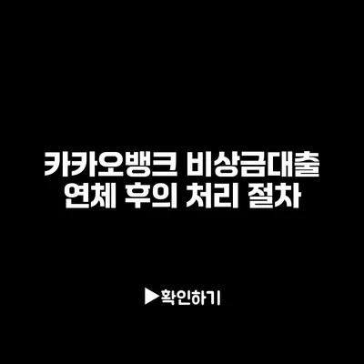 카카오뱅크 비상금대출 연체 후의 처리 절차