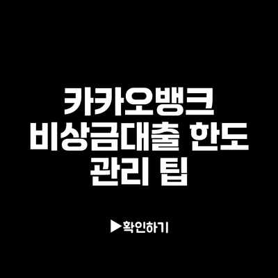 카카오뱅크 비상금대출 한도 관리 팁