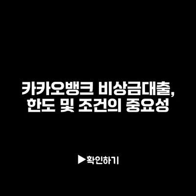 카카오뱅크 비상금대출, 한도 및 조건의 중요성