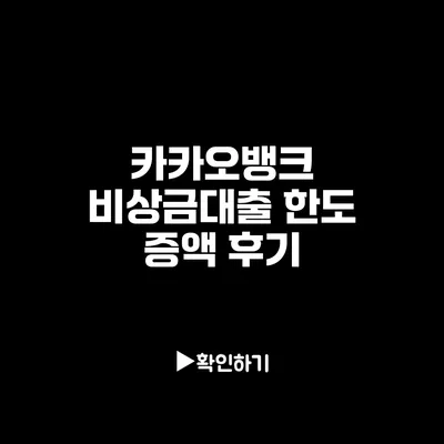 카카오뱅크 비상금대출 한도 증액 후기