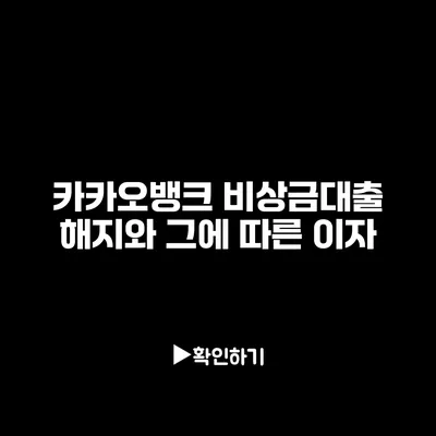 카카오뱅크 비상금대출 해지와 그에 따른 이자