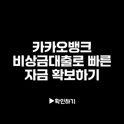 카카오뱅크 비상금대출로 빠른 자금 확보하기