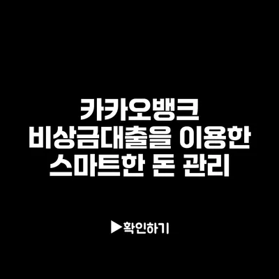카카오뱅크 비상금대출을 이용한 스마트한 돈 관리