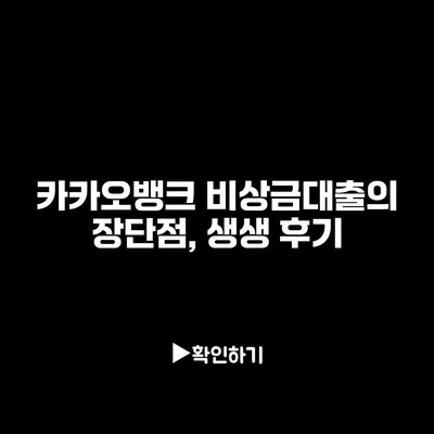 카카오뱅크 비상금대출의 장단점, 생생 후기