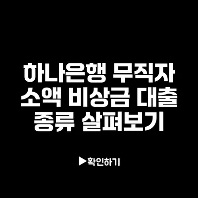 하나은행 무직자 소액 비상금 대출 종류 살펴보기