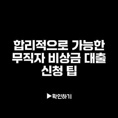 합리적으로 가능한 무직자 비상금 대출 신청 팁 합리적으로 가능한 무직자 비상금 대출 신청 팁