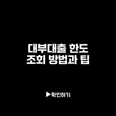 대부대출 한도 조회 방법과 팁