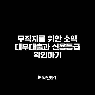무직자를 위한 소액 대부대출과 신용등급 확인하기