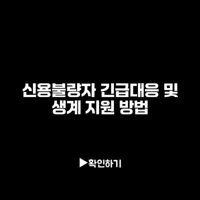 신용불량자 긴급대응 및 생계 지원 방법