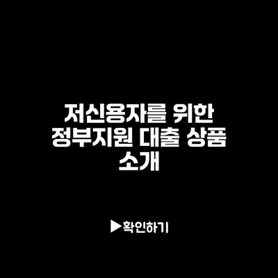 저신용자를 위한 정부지원 대출 상품 소개